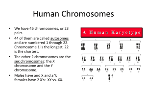 Chromosomes and Genetics