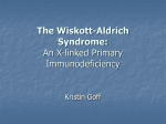 The Wiskott-Aldrich Syndrome: An X