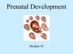 Module 45: Genetics & Prenatal PowerPoint