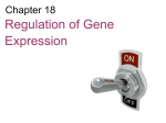 Gene Regulation Notes