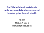 Rad51-deficient vertebrate cells accumulate