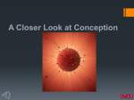 A Closer Look at Conception