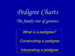 Pedigrees - Humble ISD