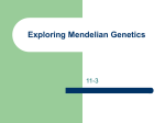 Exploring Mendelian Genetics