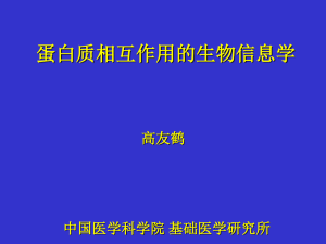 蛋白质相互作用的生物信息学