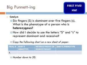 3.2 Punnett Squares