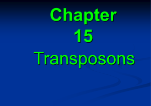 Figure 15.6 Nonreplicative transposition allows a transposon to