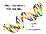 What determines who we are?