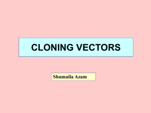 lect 5- Cloning Vectors