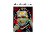 Conclude Mendelian Genetics - March 30