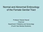 Internal Genital Sex