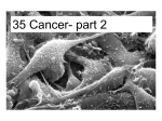 Genetics of Cancer