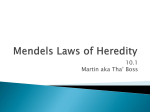 Mendels Laws of Heredity