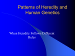 Patterns of Heredity and Human Genetics