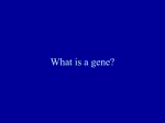 What is a gene? - World of Teaching