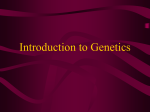 Intro to Genetics notes