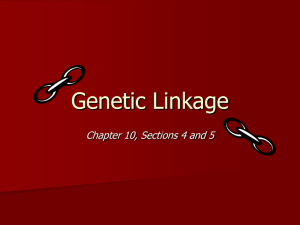Gene Linkage PPT