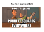 Day 12: Genetics Part 2 Powerpoint