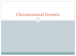 ch 15 chrom Genetics
