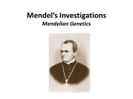 Mendel`s Investigations