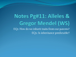 Notes PPT pg. 11: Alleles & Mendel Gregor