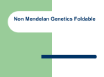 Non Mendelan Genetics Foldable Fold your paper so you have 2
