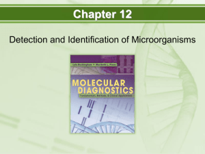 DETECTION AND IDENTIFICATION OF MICROORGANISMS