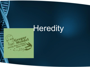 Genetics and Heredity