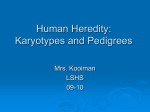 Karyotype