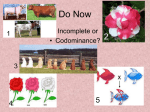 Patterns of Inheritance for Human Traits