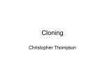 Cloning - huffgenes