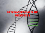 FUNDAMENTALS OF GENETICS