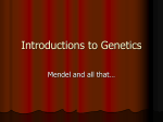 Intro to Genetics