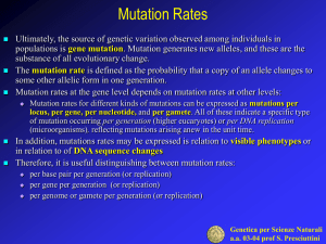 Mutation Rates