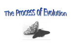 process of evolution ppt