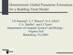 Deterministic Global Parameter Estimation for a Budding