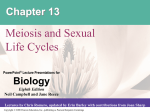 Chapter 13 PowerPoint