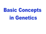 BASIC CONCEPTS IN GENETICS