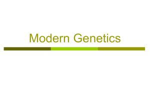 Modern Genetics PPT