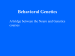 17 Greenough-Behavior Genetics 2006