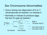 Sex Chromosome Abnormalities