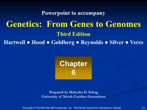 DNA How the Molecule of Heredity Carries, Replicates, and