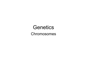 Genetics