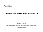 DNA Recombination