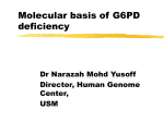 Molecular basis of G6PD deficiency