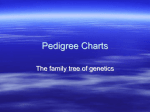 Pedigrees