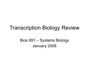 Transcription Biology Review