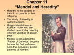 Chapter 8 “Mendel and Heredity”