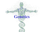 Mendel Discovers “Genes” 9-1