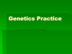 Genetics Practice